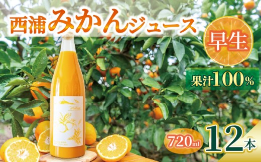 オレンジ ジュース ストレート 果汁 100％ 早生 みかん 720ml×12本 西浦 蜜柑 濃厚 飲み物 ミカン 人気 贈答用 静岡 沼津