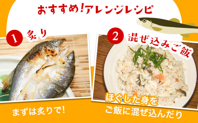 「旨いはずです。」特選あゆ一夜干しセット(13枚入)　日高川漁業協同組合《90日以内に出荷予定(土日祝除く)》 和歌山県 日高川町 あゆ 鮎 魚 一夜干し(f-2)