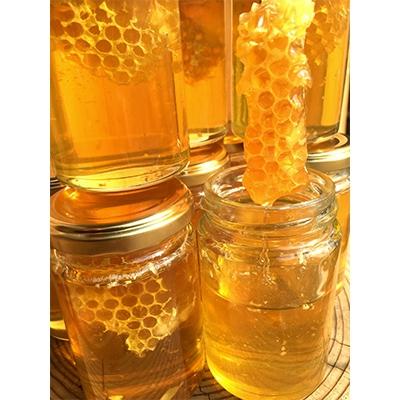 ふるさと納税 君津市 【はちみつ工房】巣蜜入り蜂蜜付き蜂蜜ギフト3点セット |  | 01