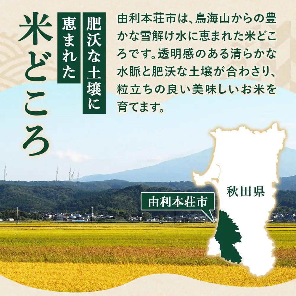 《令和8年産 新米受付》《定期便2ヶ月》【白米】特別栽培米 ササニシキ 10kg（5kg×2袋） 秋田県産