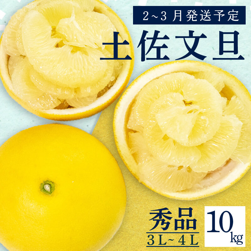 【2月上旬から発送】 文旦 高知 10kg 秀品 3L 4L 浦ノ内特産 早期予約 予約受付中 期間限定 季節限定 限定 旬 みかん ミカン ぶんたん 高知県 土佐文旦 柑橘 贈答 お土産 KN001