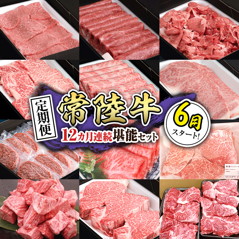 【定期便】【令和8年6月スタート】【全12回】『常陸牛』人気12か月堪能セット（12か月連続でお届け）お肉 肉 牛肉 ステーキ ハンバーグ サーロイン 赤身 切り落とし 霜降り カルビ [BX111-