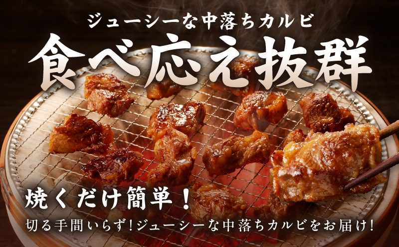 【スピード発送】焼き肉専門店 自家製タレ漬け 中落ちカルビ 総量1kg 小分け 250g×4 G1357