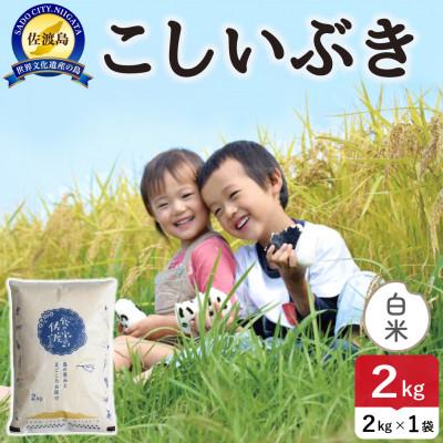 ふるさと納税 佐渡市 令和7年産 佐渡島産こしいぶき 白米2kg【食の宝島佐渡】