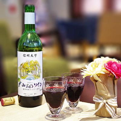 ふるさと納税 南箕輪村 〔信州大学人気No.1〕山ぶどうワイン2本 |  | 03