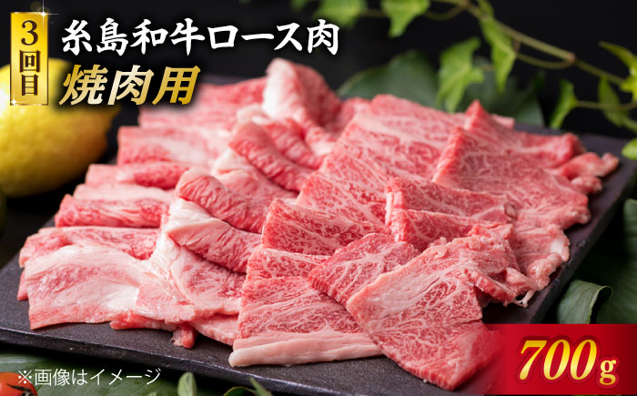 美味しさ 満載 ！ 贅沢お 肉 セット の 定期便 全5回 （月1回） 4人 家族用 【福岡 糸島産 牛肉 豚肉 鶏肉 ステーキ しゃぶしゃぶ すき焼き ヒレ シャトーブリアン ロース】 《糸島》 【