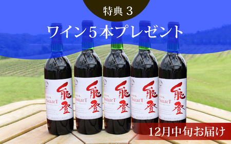 収穫体験にワイン５本も！ 能登ワイン　ぶどうの木オーナー