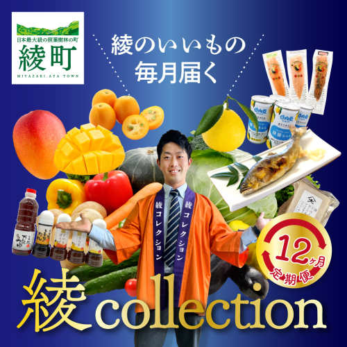 あやコレクション【12か月定期便】