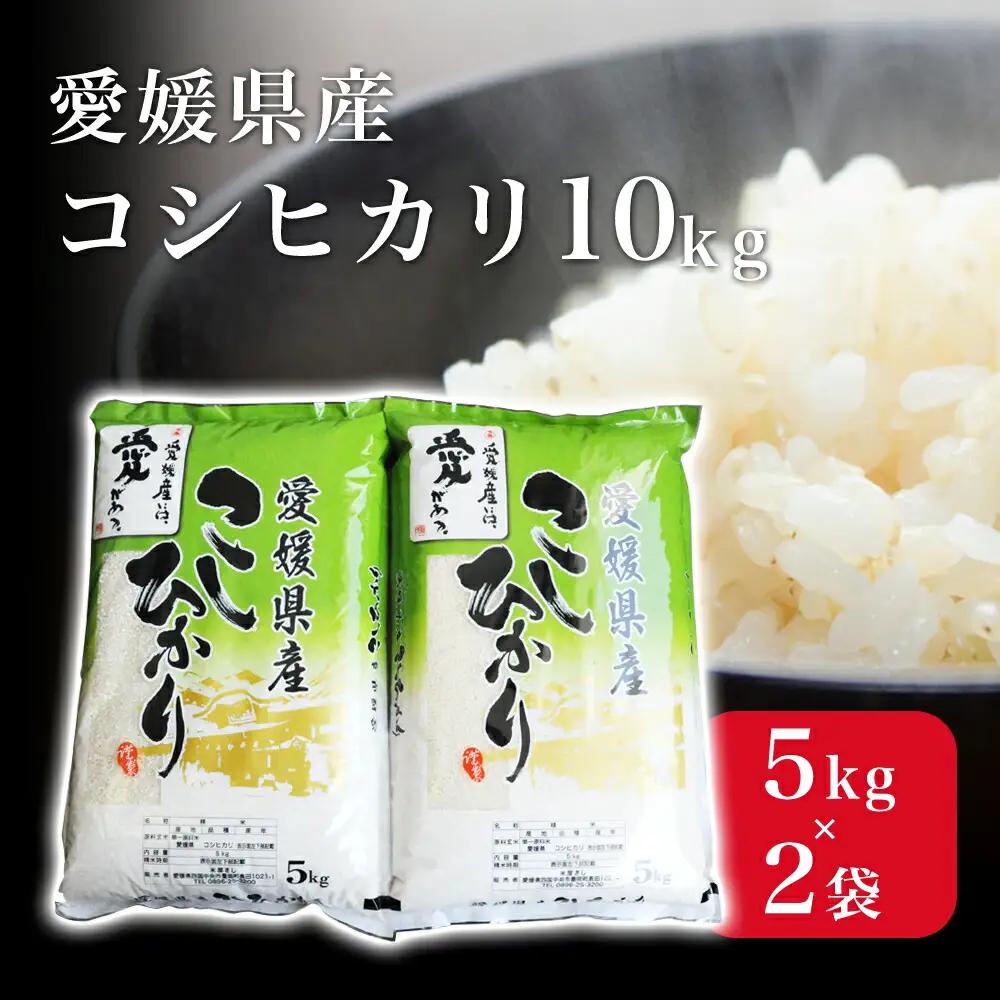 愛媛県産コシヒカリ10kg
