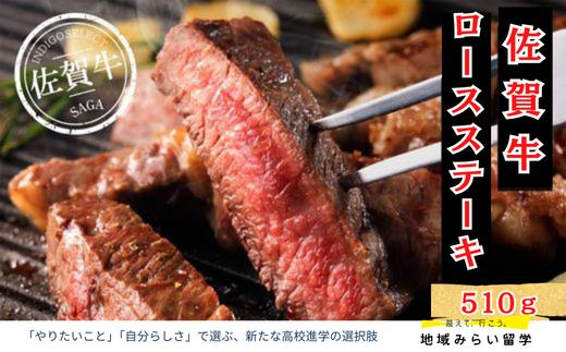 
                  佐賀牛ロースステーキ510g
                