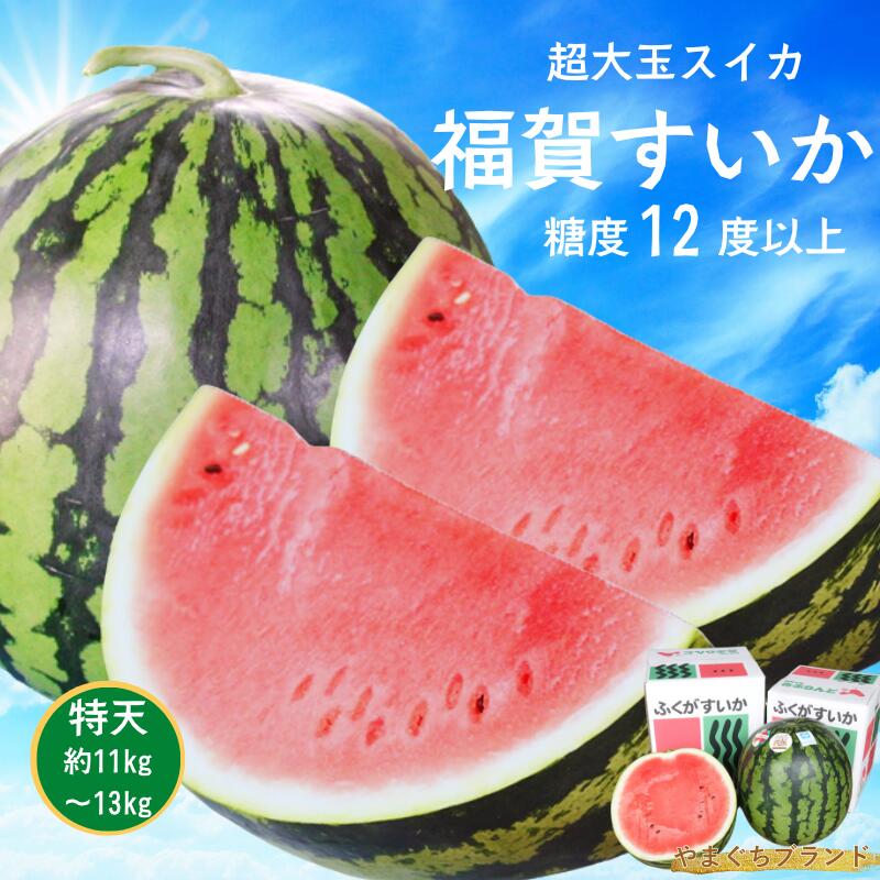 【ふるさと納税】【先行予約】 1株1玉獲りの自信作「福賀 すいか」特天 約11kg～13kg 1個　果物類・スイカ　お届け：2026年7月上旬以降順次発送予定