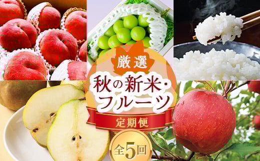 《先行予約 2026年8月発送開始》 山形県の至高！ 山形県厳選 秋の新米・フルーツ定期便 全5回 もも モモ 桃 デザート フルーツ 果物 くだもの 果実 食品 山形県 FSY-2455
