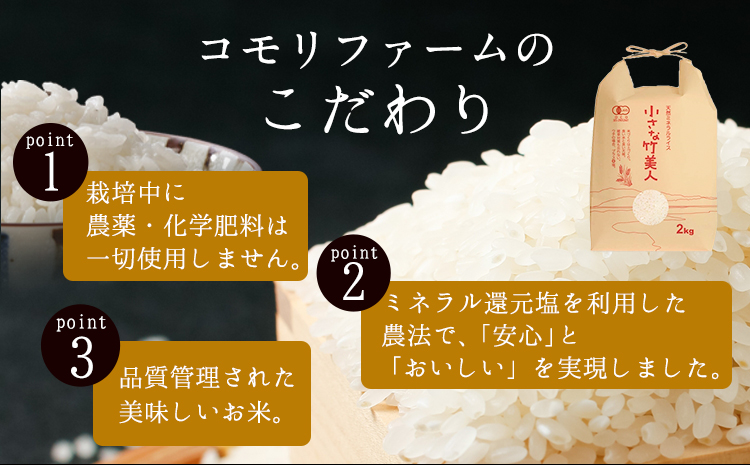 【6か月定期便】 令和6年産 小さな竹美人 玄米 2kg 玄米 株式会社コモリファーム《お申込み月の翌月から出荷開始》---sc_kmjasrgtei_24_49500_mo6num1---