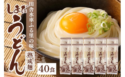 167.島田うどん《大》 10袋（40食分） うどん 乾麺 島田麺 島田うどん しまだ麺 しまだうどん 大容量