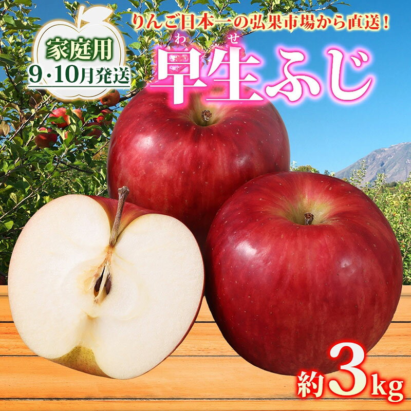 【ふるさと納税】【9月・10月発送】家庭用 早生ふじ 約3kg リンゴ 林檎 りんご 皮ごと 甘い 酸味 シャキシャキ デザート フルーツ 果物 お取り寄せ 産地直送 旬 季節限定 弘果物流 青森県 西目屋村 西目屋村産 青森りんご　お届け：2025年9月29日～2025年11月5日