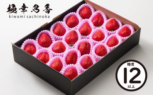 74-46_03　【3月発送】園村苺園★糖度12度以上保証★極幸乃香（きわみさちのか）600ｇ