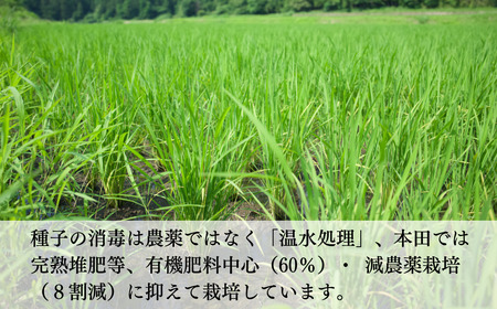 げんき米 コシヒカリ（玄米10kg）玄米 玄米 玄米 玄米 玄米 玄米