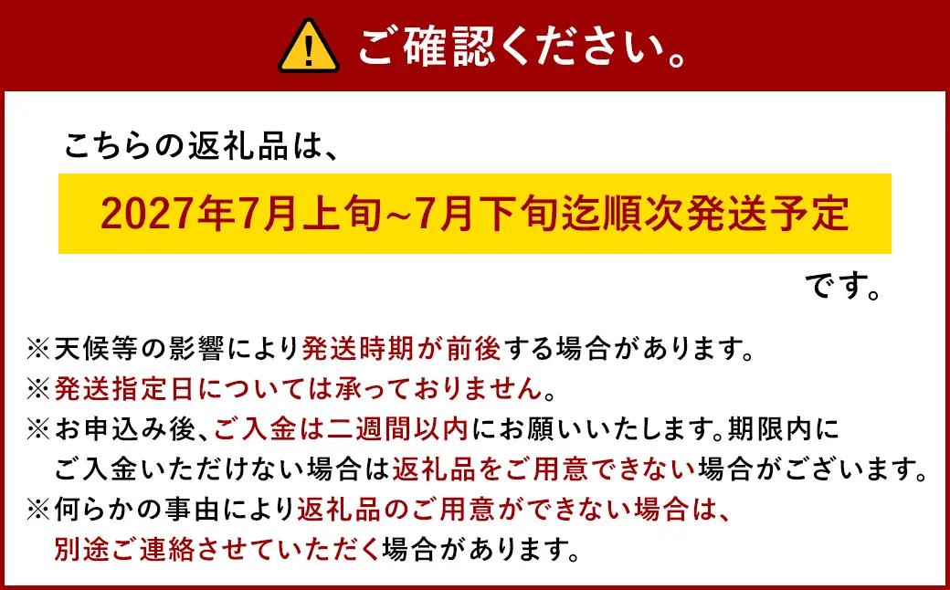 【先行予約】岡山白桃 約1.5kg（6玉前後）【2027年7月上旬～7月下旬迄順次発送予定】【もも 桃 清水白桃 白桃 果物 フルーツ 国産 人気 おすすめ 岡山県 倉敷市】