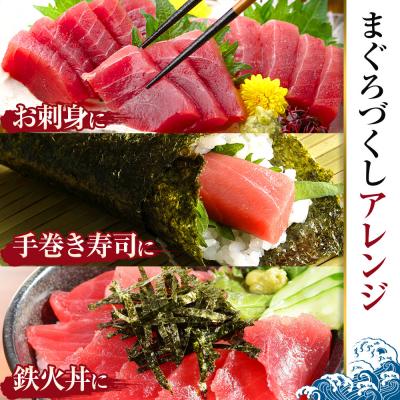 ふるさと納税 川崎市 天然 マグロ 赤身 1kg ( 200g × 5柵 ) かわさき北部市場まぐろ仲卸 |  | 03