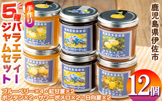 isa553 《数量限定》5種のバラエティージャム食べ比べセット(計12個・ブルーベリー×4、紅甘夏×2、ボンタン×2、サワーポメロ×2、日向夏×2) 加工食品 果物 フルーツ 詰め合わせ 果肉 柑橘 低糖 ハンドメイド ジャム ギフト マーマレード【薩摩美食倶楽部】
