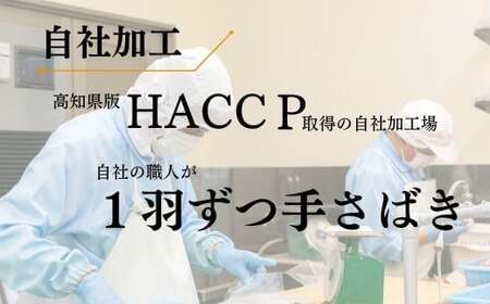 「土佐ジロー」地鶏 ハンバーグ 6袋 地鶏 成熟 噛む旨み 深い味わい 冷凍 BN