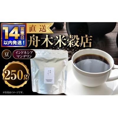 ふるさと納税 釧路市 【14営業日以内に発送】 豆 【直送】 舟木米穀店 インドネシア マンデリン 250g