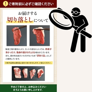 【訳あり品】宮崎牛 切り落とし  1kg 黒毛和牛