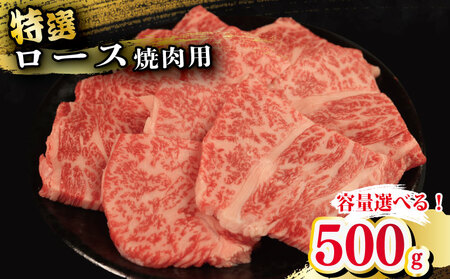 牛肉 特選 ロース 500g 焼肉用 国産和牛 焼肉 焼肉 焼肉 焼肉 焼肉 焼肉 焼肉