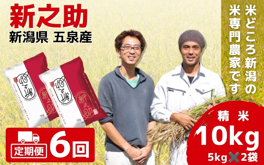 【先行予約】令和8年産【定期便 6ヶ月】米 10kg (5kg × 2袋)×6回 五泉産 新之助 | 白米 精米 しんのすけ お米 おこめ 新潟県 五泉市 わくわく農場