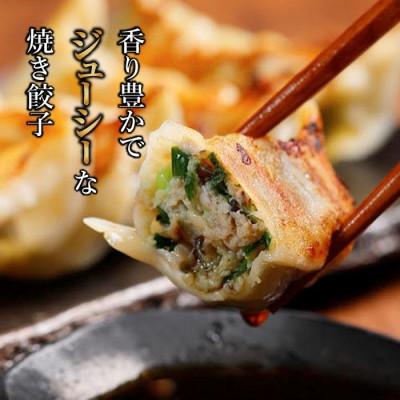 ふるさと納税 松山市 【毎月定期便】【ミシュランガイド掲載】点心専門店の手づくり焼き餃子30個(タレ・作り方付き)全3回 |  | 01