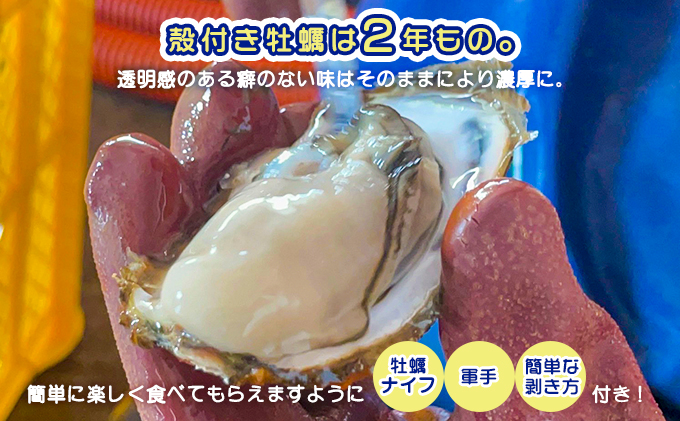 北海道 サロマ湖産 殻付き かき 生食用 5.8kg 牡蠣 カキ 海鮮 魚介 国産 貝付き 生牡蠣 焼き牡蠣 蒸し牡蠣 冷蔵 産地直送 オホーツク 魚貝類 殻付きかき