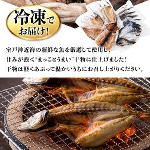 【定期便 偶数月6回】 干物 黒潮セット アジ 5枚 鯵 アジ あじ カマス 5枚 かます トロカマス スルメイカ 1枚 冷凍 人気 干物 詰め合わせ 大容量 海鮮 魚介 白身魚 室戸海洋深層水 高知