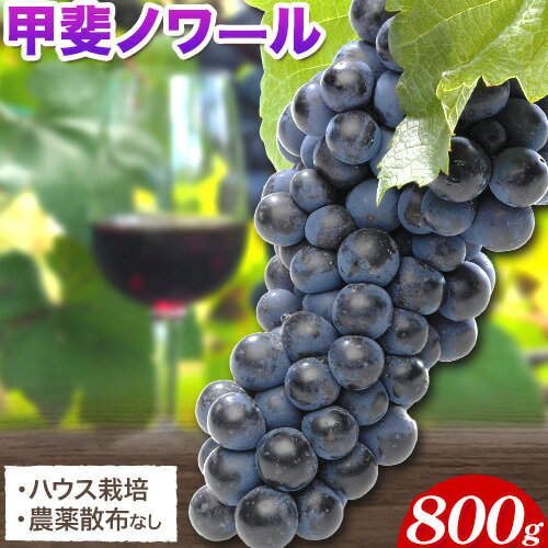 【ふるさと納税】【先行予約】甲斐ノワール 約800g (2~3房) 岡山県産 ハウス栽培 《9月上旬-10月下旬頃出荷(土日祝除く)》 ばんの農園 ぶどう 送料無料 岡山県 浅口市 フルーツ 果物 贈り物 ギフト 国産 【配送不可地域あり】（離島）