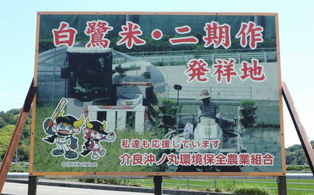 【先行予約】 農薬節減！ 白鷺米 コシヒカリ 約2kg ＜2025年9月から発送＞ / 高知 米 お米 精米 　【津ノ宮農園】[ATBV018]