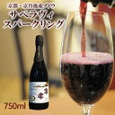 【ふるさと納税】【丹波ワイン】京丹後産サペラヴィスパークリング 丹波ワイン　750ml 酒 ワイン 赤ワイン スパークリングワイン 京都 京丹後 ふるさと納税 酒 ふるさと納税 ワイン わいん 国産 送料無料