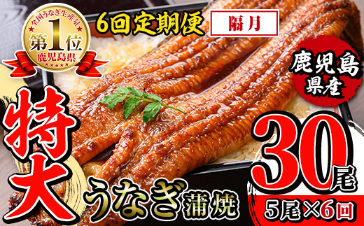 i1177-B ＜定期便・計6回(隔月)＞＼特大サイズ／鹿児島県産 うなぎ蒲焼 5尾セット ＜（約220g×5・計約1100g）×全6回＞ 定期便 たれ 山椒付きうなぎ 鰻 ウナギ 特大 特大サイズ 