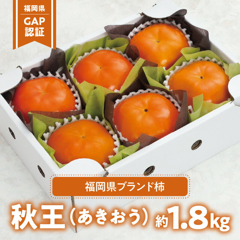 【ふるさと納税】「福岡県GAP」認証！ 福岡県 ブランド柿 秋王 1箱 6個 ～ 7個入 約 1.8kg 数量限定 柿 種 ほとんどない サクサク 食感 夕焼け 美しい 色味 甘い 美味しい 甘柿 国産 九州産 旬 秋の味覚 フルーツ 果物 冷蔵 お取り寄せ 福岡県 久留米市 送料無料