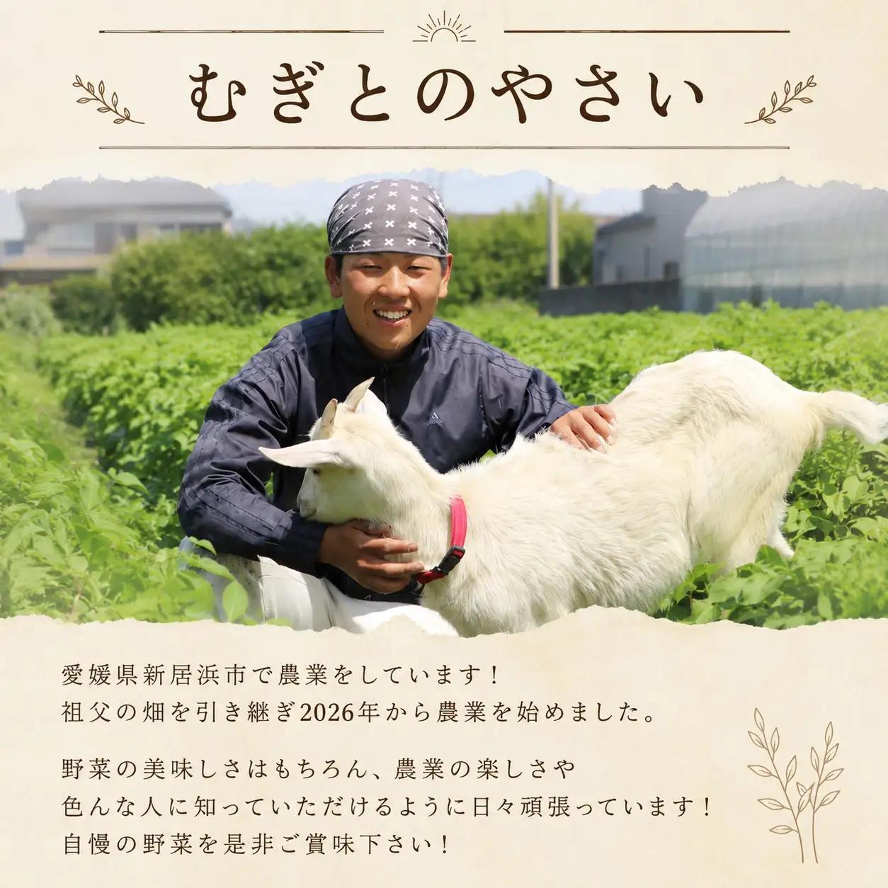 ほうれん草 200g×20袋 ほうれん草 ほうれんそう 【先行予約】