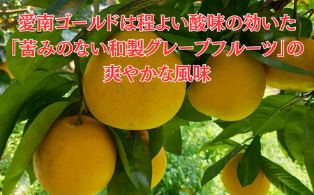 訳あり FN-SupportProject 増量 年末企画 愛南ゴールド ( 河内晩柑 ) 8kg 9000円  かわちばんかん ミカン わけあり 家庭用 愛媛県 愛南町 愛なんよ