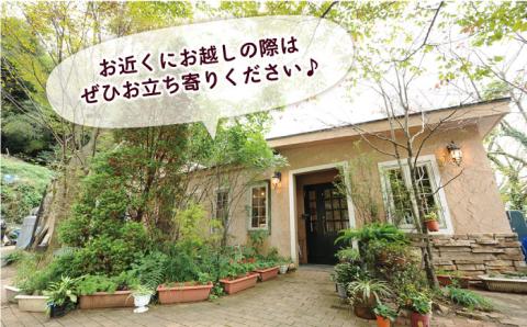 ご飯との相性も抜群！一貴山豚ロース味噌漬け6枚 糸島市 / いきさん牧場 [AGB006]