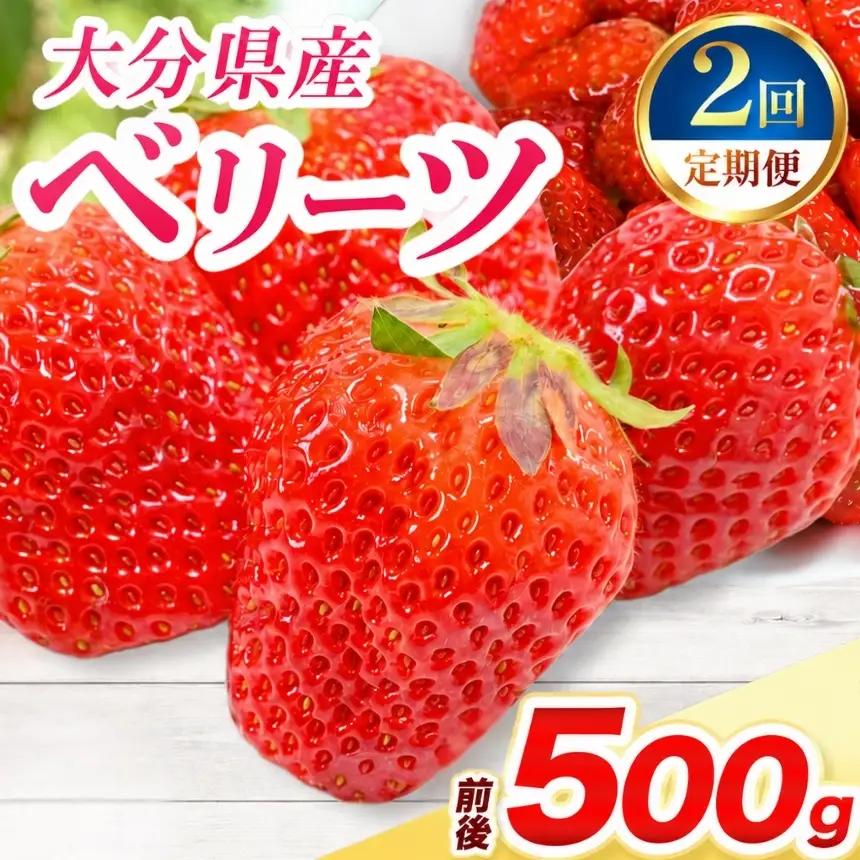 【定期便2回】ベリーツ × 2パック ( 約500g ) ( 1パック/250g前後 ) | いちご ベリー フルーツ 果物 産地直送 大分県 中津市