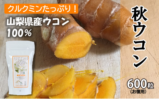 ＜健康食品＞秋ウコン600粒（お徳用）【050-001】