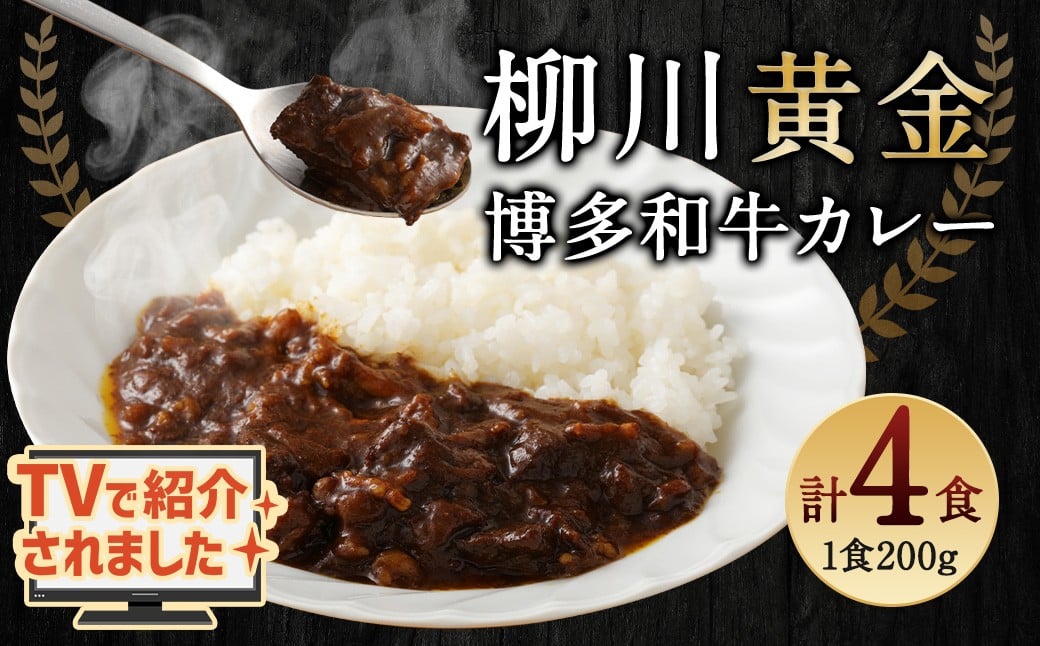 
柳川黄金博多和牛カレー 200g×4箱 合計4人前
