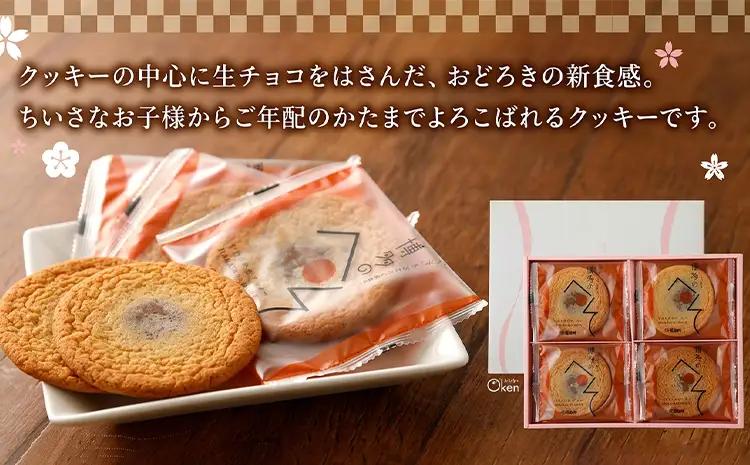 クッキー 博多のへそ詰め合わせ 16枚入り 生クッキー