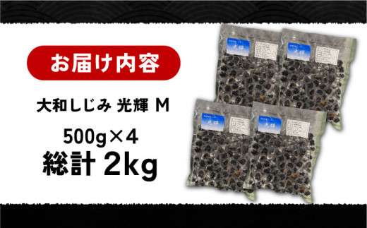 産地直送！宍道湖産 冷凍大和しじみMサイズ2kg(500g×4) 砂抜き処理済島根県松江市/りすたむMatsue [ALDE001]