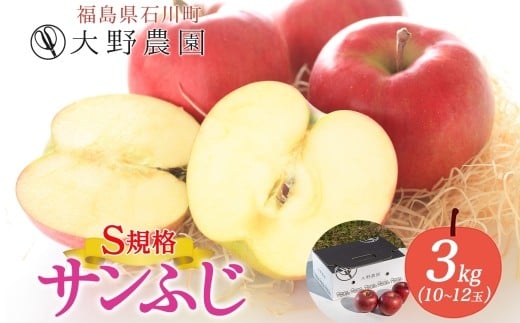 
            サンふじ 3kg S規格 10～12玉 ｜ りんご リンゴ 旬 林檎 果物 フルーツ 甘い アップル 産直 大野農園 福島県 石川町【19013】
          
