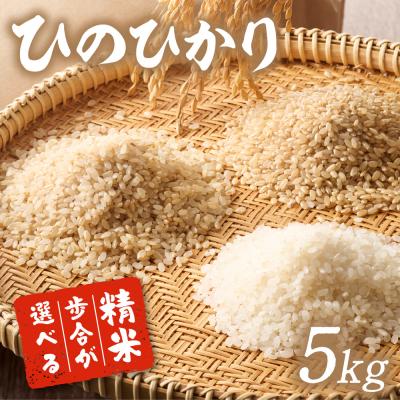 ふるさと納税 宗像市 令和8年産 自然栽培米ひのひかり5kg〈栽培期間中農薬・肥料不使用〉【ほのわ】_HA1609