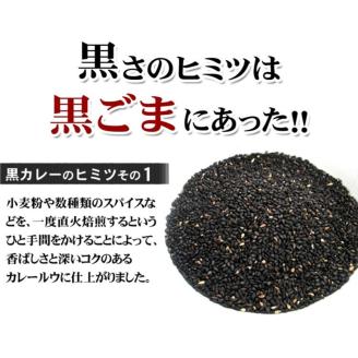 牛タン黒カレー（200ｇ×10パック） ※お届け不可地域あり【069D-007】