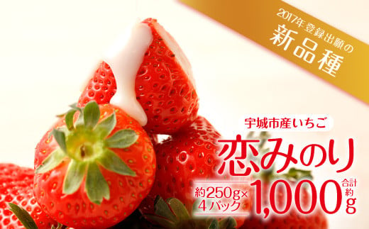 
宇城市産いちご「恋みのり」約250g×4パック 【わたなべいちご園】【2025年1月上旬～4月上旬発送予定】
