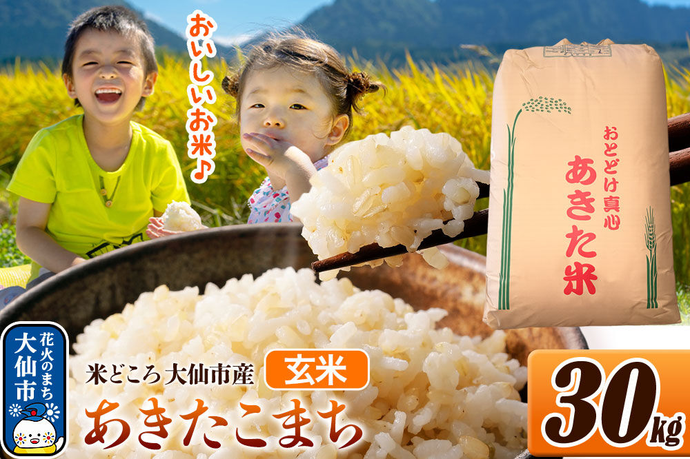 米 令和7年産【玄米】米どころ秋田県大仙市産 あきたこまち 30kg（30kg×1袋） [米 お米 こめ 玄米 あきたこまち ブランド米 通算23回 特A 小分け ご飯 ごはん 米どころ 秋田県産 大